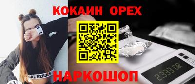 твердый Гусев